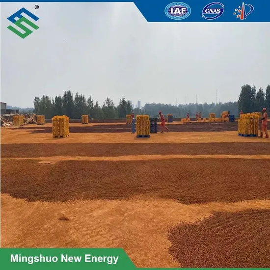 GMP Certificated OEM Multivitamin Mineral Particles