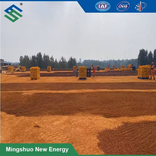 Partículas minerales multivitamínicas OEM con certificación GMP